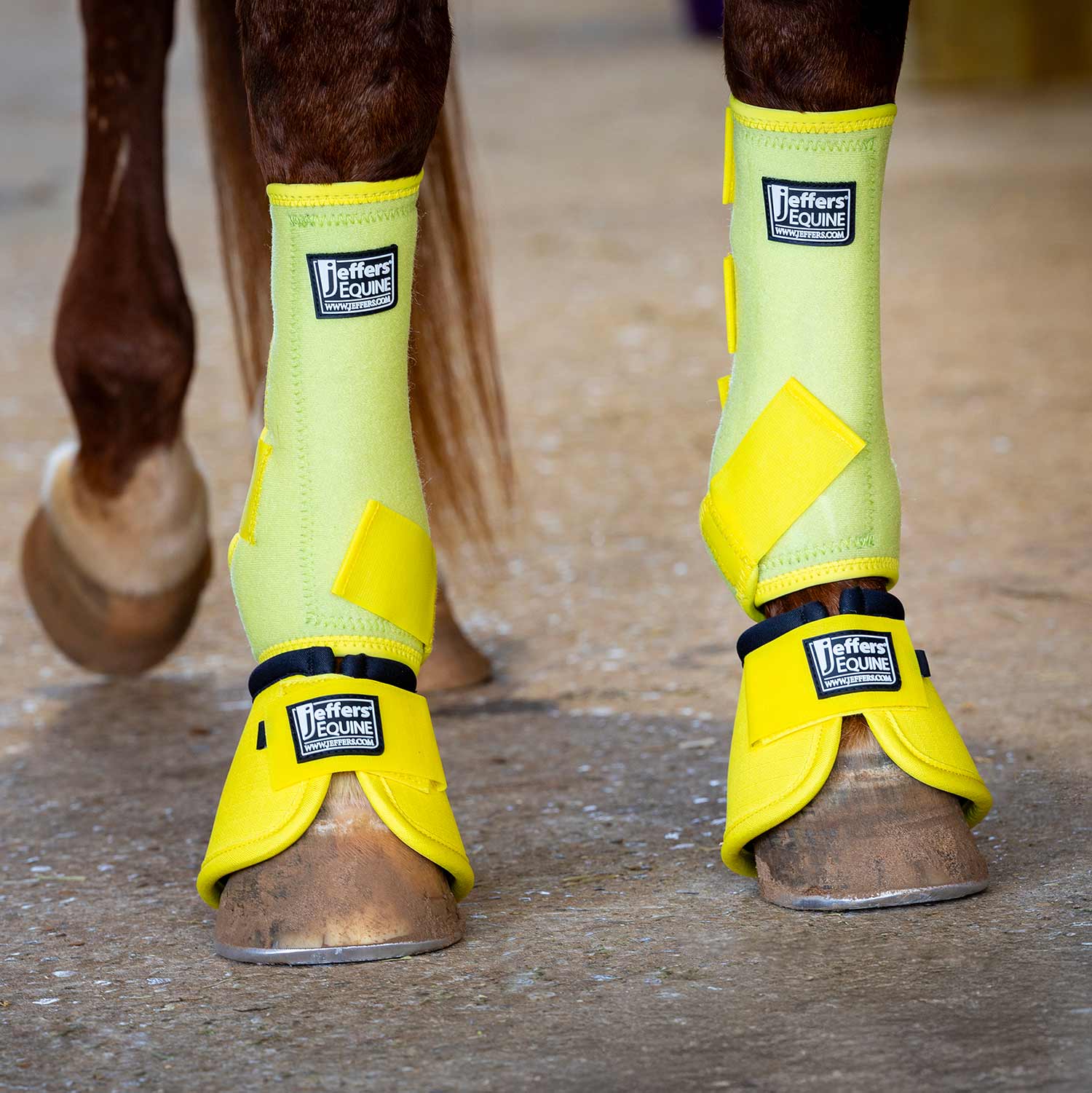 Jeffers Protective Horse Boots Solid Colors | 2-Pack
