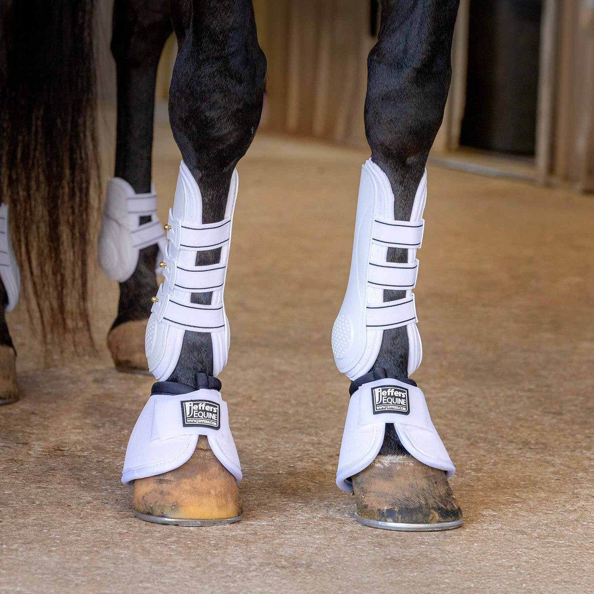Jeffers Uniquely English Horse Tendon Boots | 2-Pack