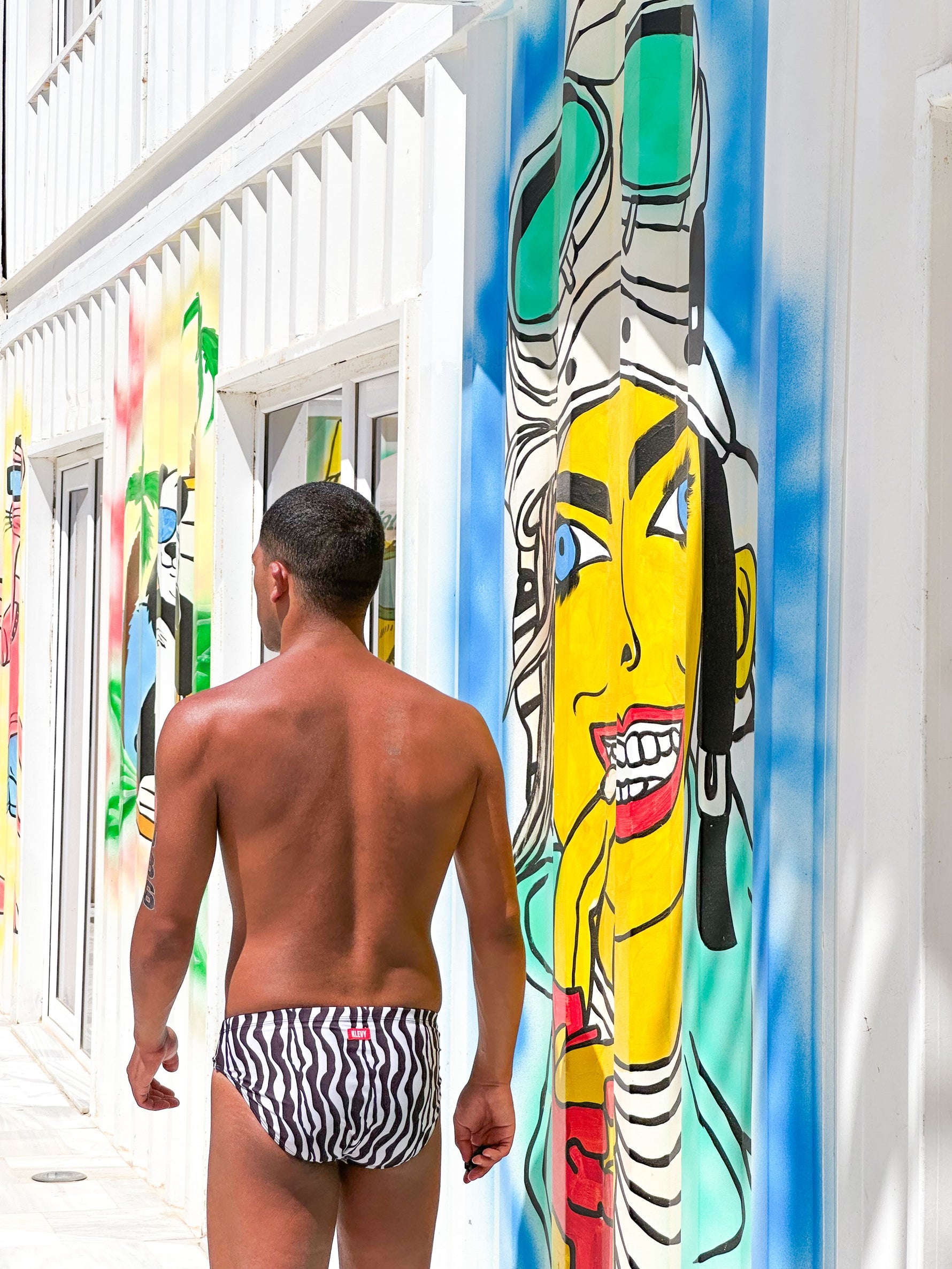 Men’s Swim Brief | Zebra Rhythm