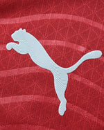 PORTUGAL HOME 2025/26 Soccer Jersey