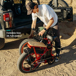 VTUVIA SF20H Utility Ebike