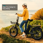 VTUVIA SF20H Utility Ebike