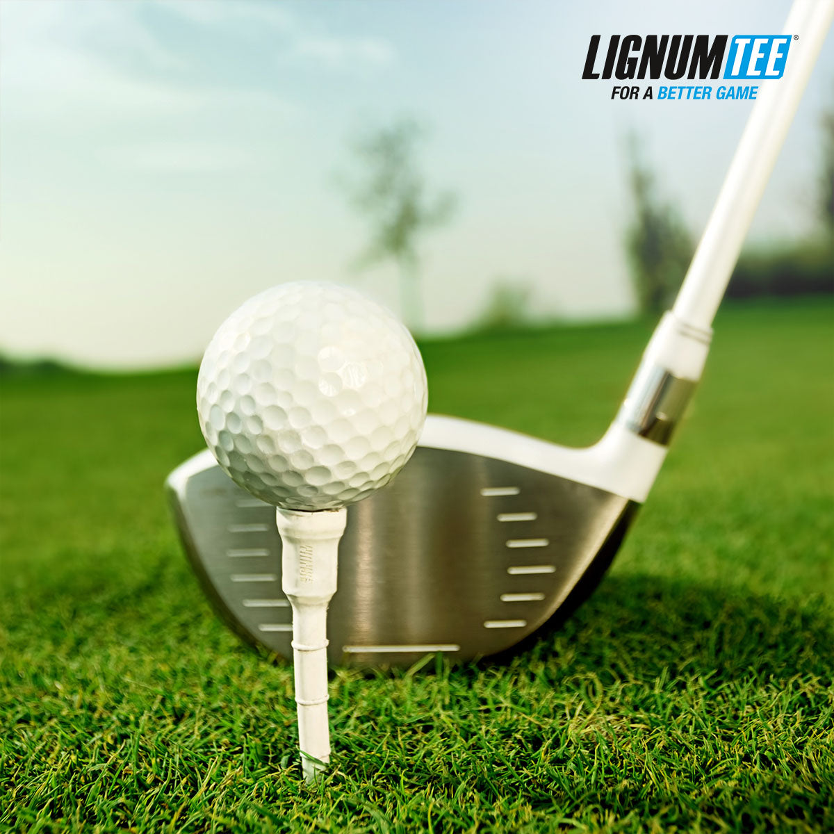 Lignum Tee | Classic Golf Tee Eco
