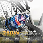 Windhorse F2 Electric Bike