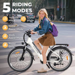 Windhorse F2 Electric Bike