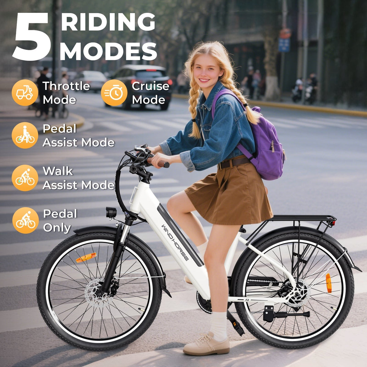 Windhorse F2 Electric Bike