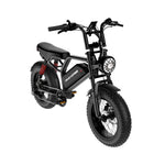 Windhorse V8MINI Fat-Tire e-Bike