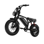 Windhorse V8MINI Fat-Tire e-Bike