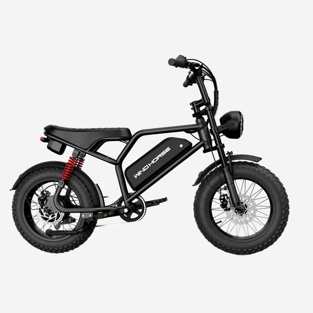 Windhorse V8MINI Fat-Tire e-Bike