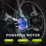 Windhorse W2A Electric Bike