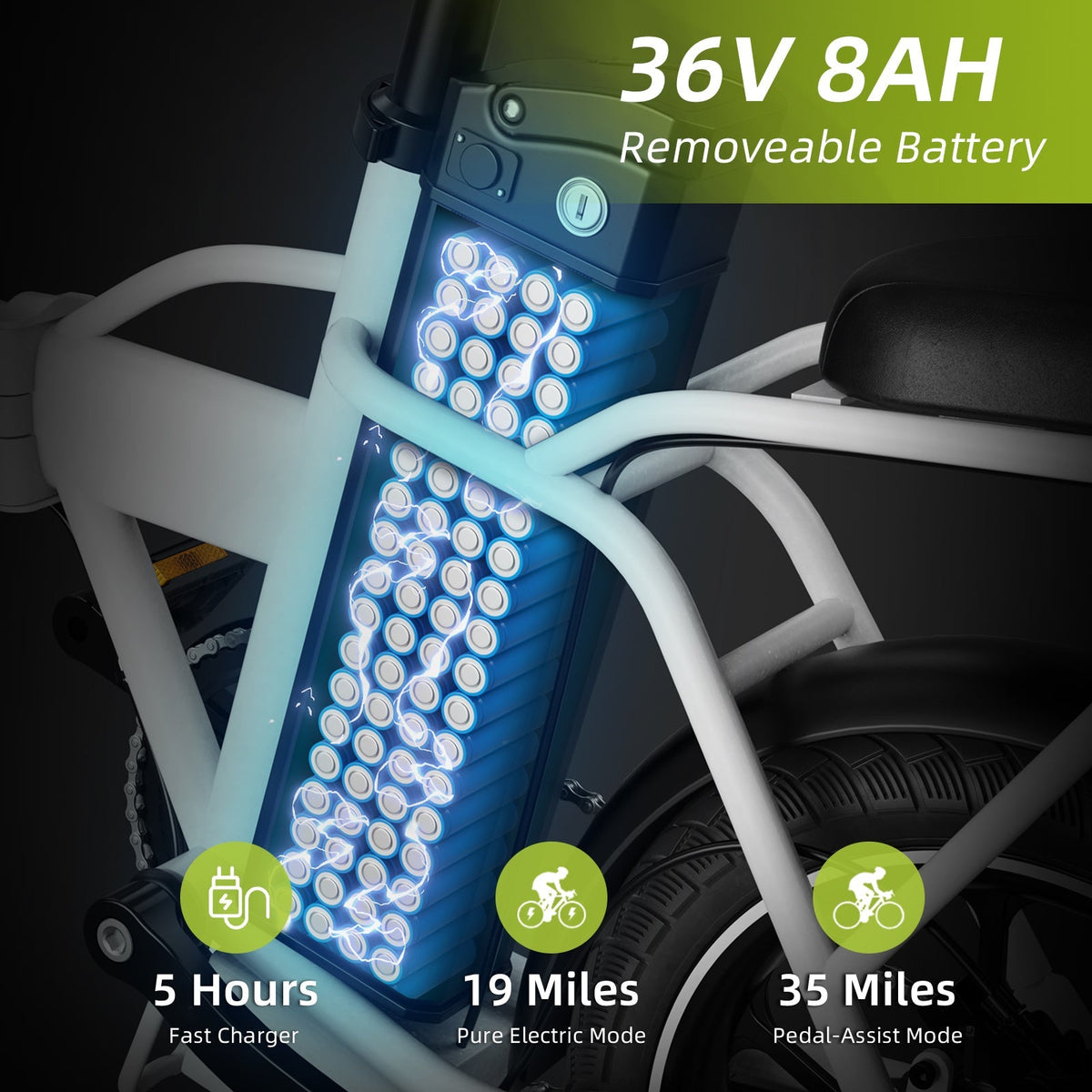 Windhorse W2A Electric Bike