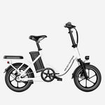 Windhorse W2B Electric Bike