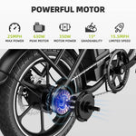 Windhorse W2B Electric Bike