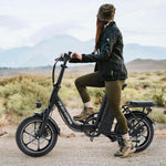 Windhorse W2B Electric Bike