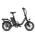 Windhorse W2B Electric Bike