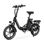 Windhorse W2B Electric Bike