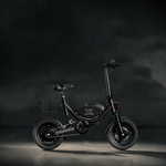 Windhorse W3 Electric Bike