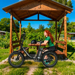 Windhorse W4B | 720W