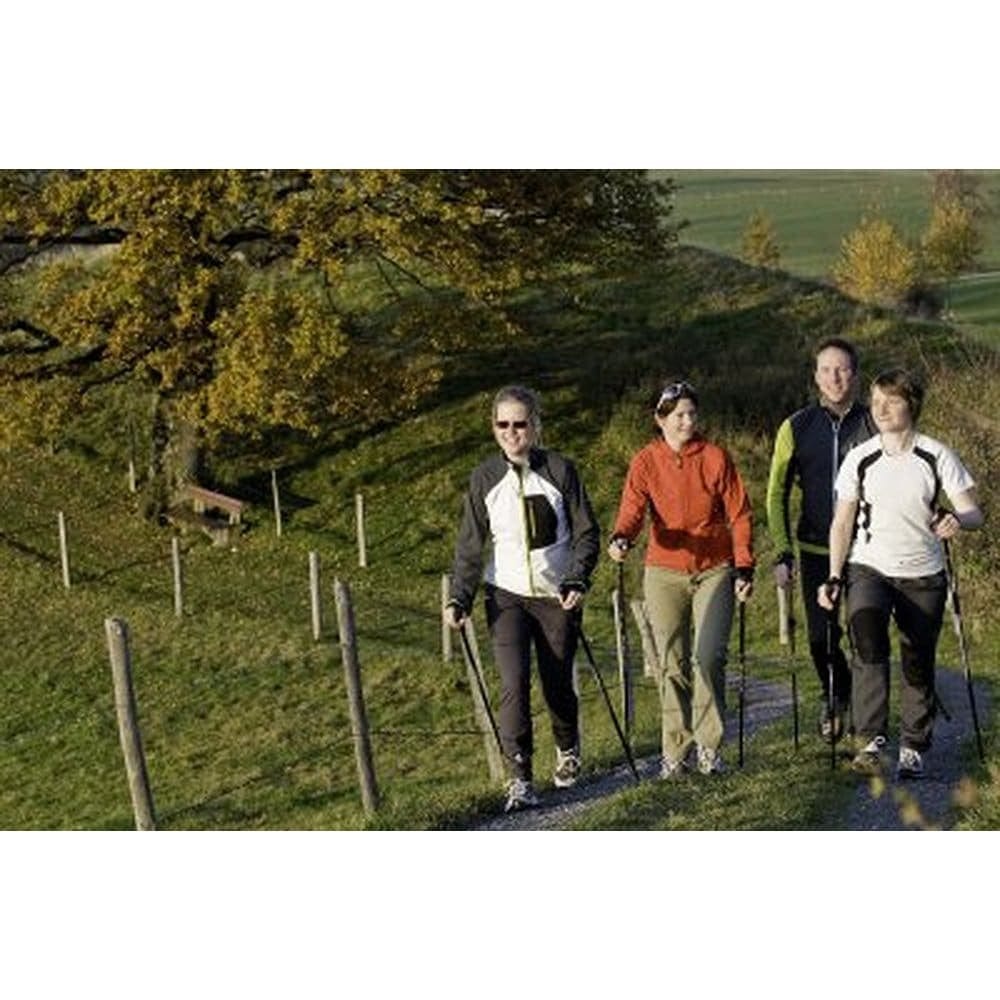 Official Casual Trek Hiking & Walking Poles | Heights Up To 6’2”